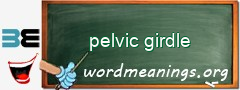 WordMeaning blackboard for pelvic girdle